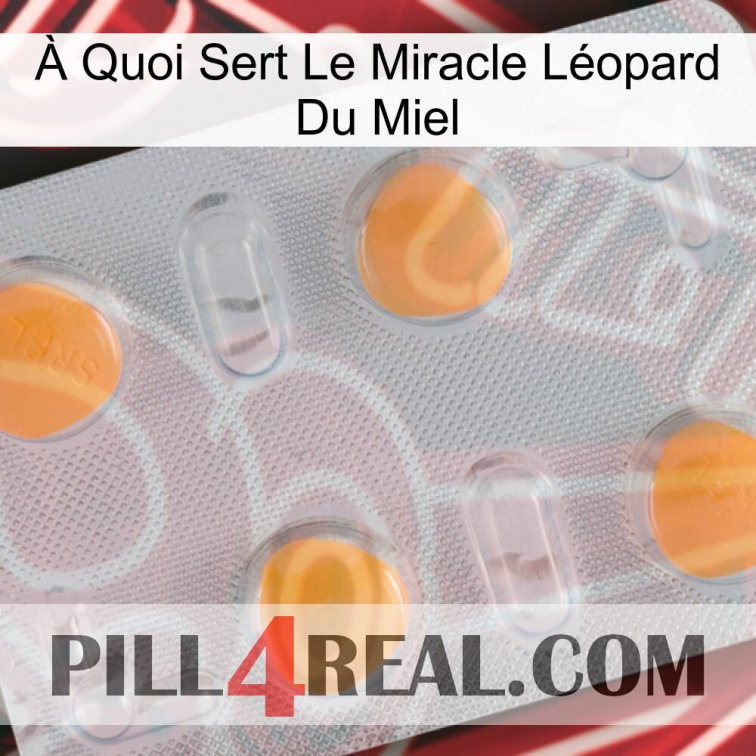 À Quoi Sert Le Miracle Léopard Du Miel 24